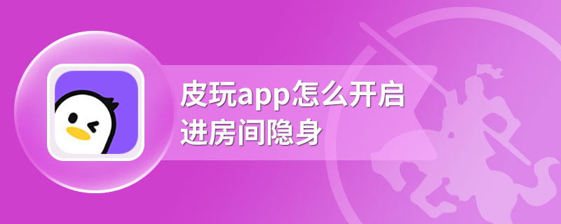 皮玩app怎么开启进房间隐身