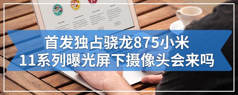 首发独占骁龙875小米11系列曝光屏下摄像头会来吗