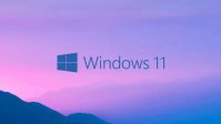 windows11家庭版和专业版哪个好用 windows11哪个版本好