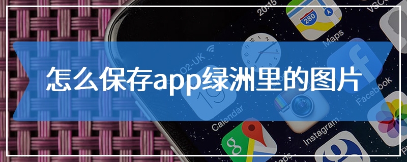 怎么保存app绿洲里的图片