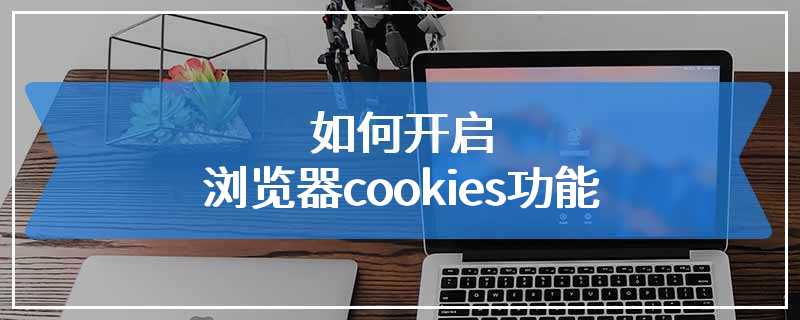 如何开启浏览器cookies功能