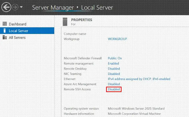 微软发布 Windows Server 26063 预览版更新：启用新壁纸、引入 WinGet 命令(1)